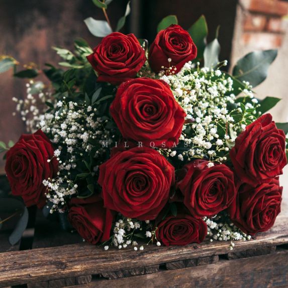 ziziosama2gmail's tweet photo. Good evening My dear friends 🍃🌼 I miss you so much 🍃🌼 https://t.co/yfGO6oCaRi