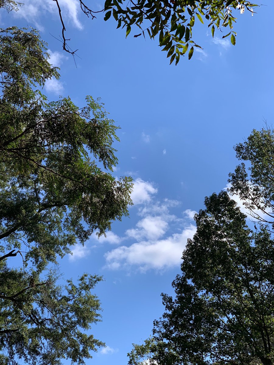 sokamoto's tweet image. Good afternoon, Columbus! Pretty clouds in a beautiful blue sky. #ColumbusGA #bluesky #prettyclouds #warm&amp;amp;dry #nobreeze