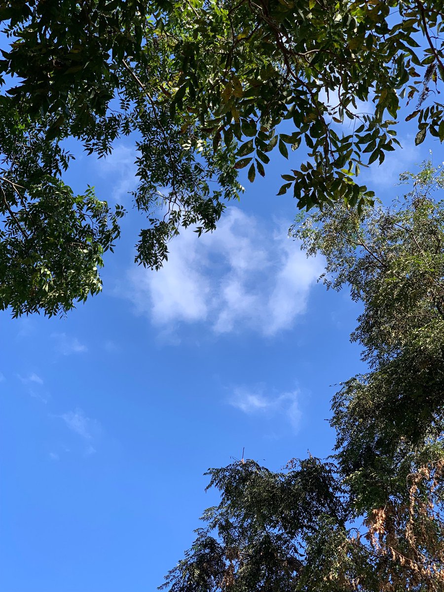 sokamoto's tweet image. Good afternoon, Columbus! Pretty clouds in a beautiful blue sky. #ColumbusGA #bluesky #prettyclouds #warm&amp;amp;dry #nobreeze