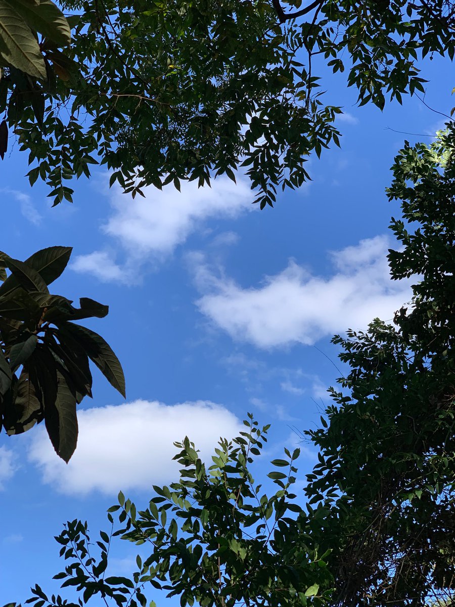 sokamoto's tweet image. Good afternoon, Columbus! Pretty clouds in a beautiful blue sky. #ColumbusGA #bluesky #prettyclouds #warm&amp;amp;dry #nobreeze