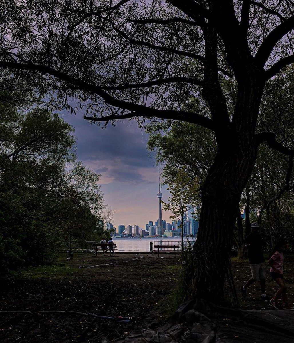Centre Island tweet media