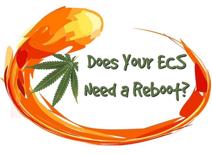 deflepchik's tweet image. Does it?  I can help!  👊 🙋‍♀️ #albrightcbd #cbdforeveryone #cbdworks #cbdforpets #cannabisbiz