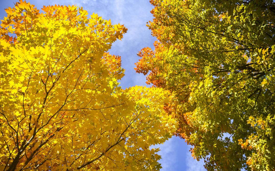 Embracing fall in Kandiyohi County trib.al/grjPTGb