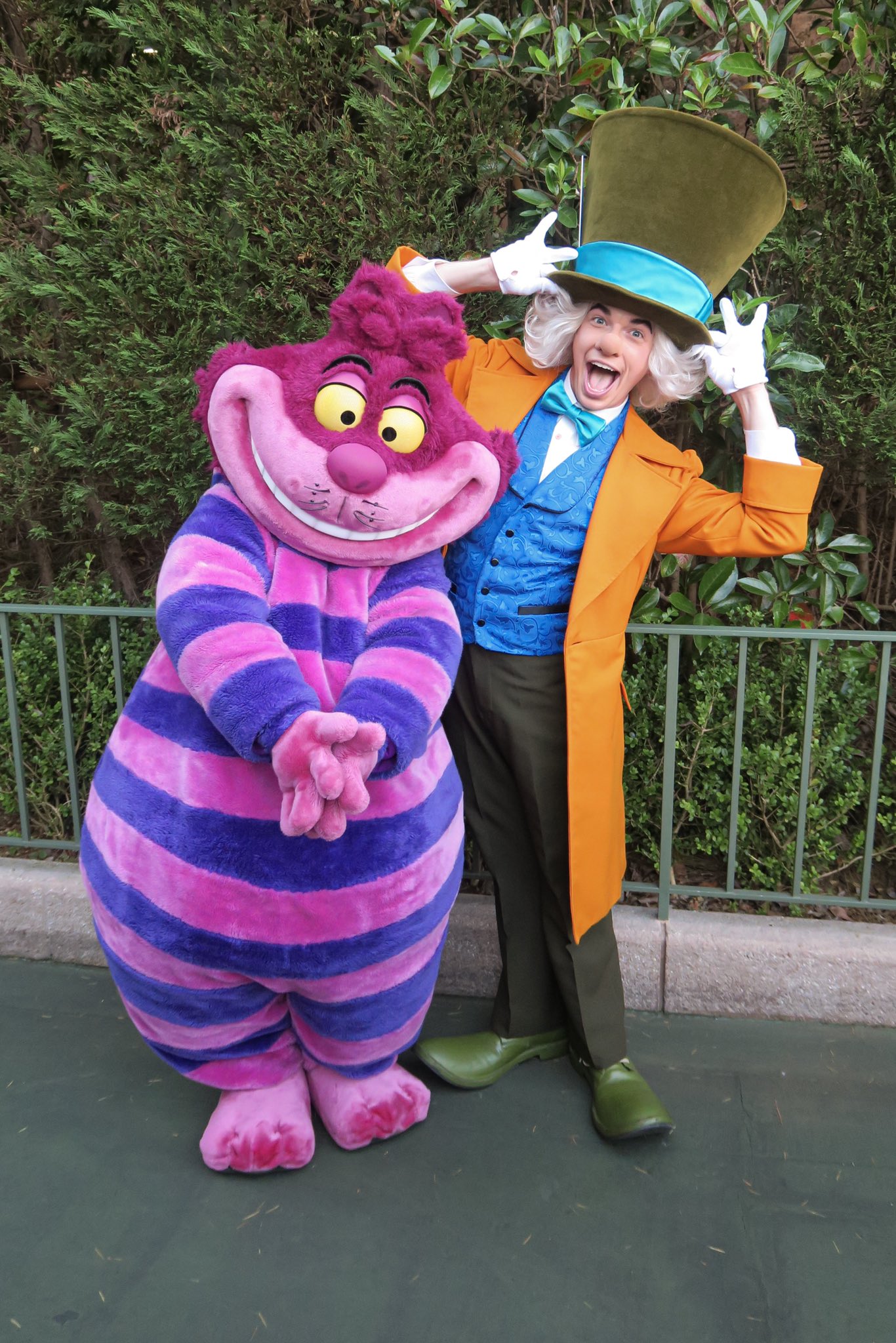 Disney - ディズニー　アリス　チシャ猫　ホワイトラビット２種　マッドハッター　五体セット Disney フラワーピック アリス 白うさぎ チェシャ猫 （ ガーデン
