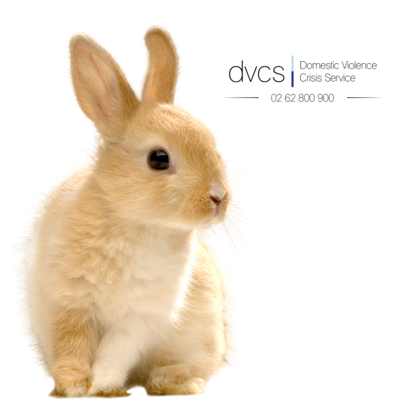 DVCSACT's tweet photo. Yes, real hard copy calendars are still a thing!  What else are you going to stick to your fridge?

Pre-order your DVCS 2020 Pets of Canberra Calendar now via our website from as little as $22 (inc postage)!

Purchase online: https://t.co/Z7JIFXoio4

#PetsofCanberra https://t.co/u65MCV0Nad