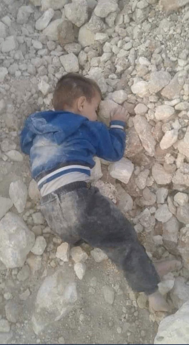 AndrewB812's tweet photo. So @SenRonJohnson is on the Foreign Relations Committee and apparently has no problem with this dead Kurdish kid. You sicken me, senator. https://t.co/JSJ0qTA7g0
