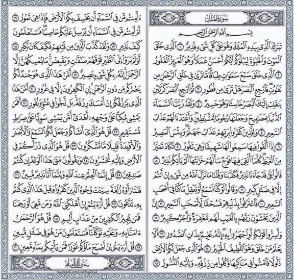 '''' tweet media