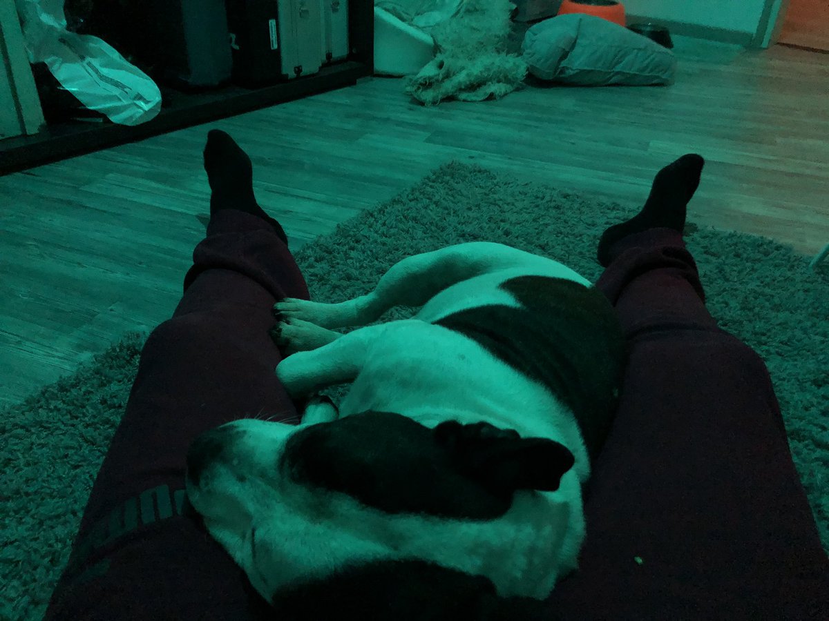 #parastajustnyt #staffylife