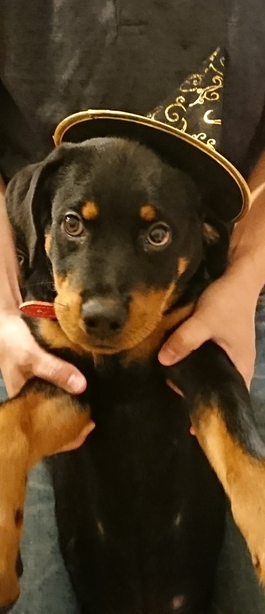 アイナ でかい動物大好き Br4yqtbynrnibey Twitter