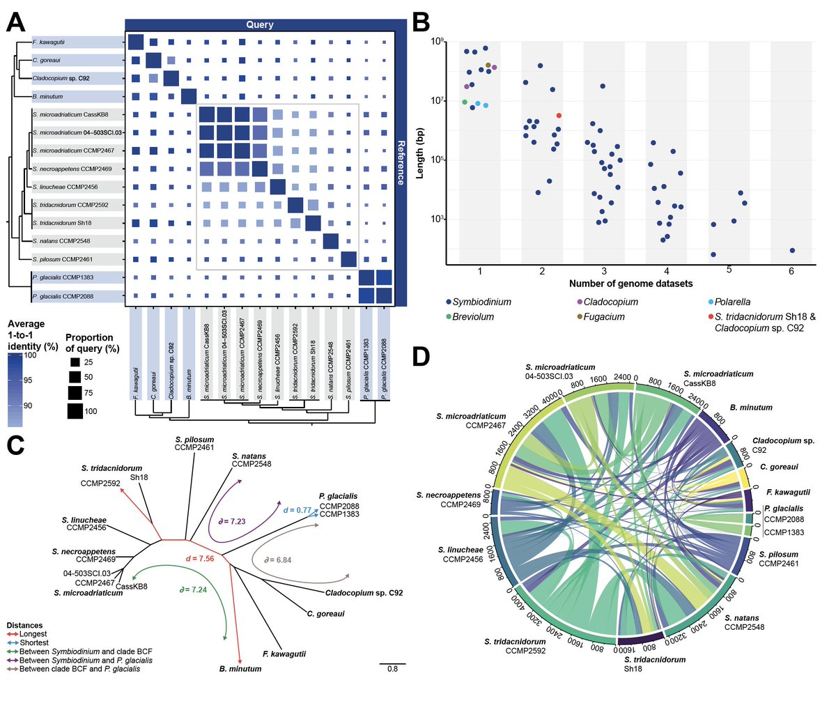 Raúl González-Pech (@raulgoch.bsky.social) (@raulgoch) on Twitter photo 5 new #Symbiodinium #genomes and the 1st study with comparisons at order, family, genus and species levels for #dinoflagellates. Have a look at our pre-print <a href="/biorxivpreprint/">bioRxiv</a>:
bit.ly/2IF0MQd
<a href="/dorkyM/">Cheong Xin (CX) Chan</a> <a href="/timstep1383/">Timothy Stephens</a> @Yibi00733984 <a href="/SarahShahansha/">Sarah Shah</a> <a href="/AMohamed85/">Amin Mohamed</a> <a href="/IMBatUQ/">Institute for Molecular Bioscience</a> 5 new #Symbiodinium #genomes and the 1st study with comparisons at order, family, genus and species levels for #dinoflagellates. Have a look at our pre-print <a href="/biorxivpreprint/">bioRxiv</a>:
bit.ly/2IF0MQd
<a href="/dorkyM/">Cheong Xin (CX) Chan</a> <a href="/timstep1383/">Timothy Stephens</a> @Yibi00733984 <a href="/SarahShahansha/">Sarah Shah</a> <a href="/AMohamed85/">Amin Mohamed</a> <a href="/IMBatUQ/">Institute for Molecular Bioscience</a>