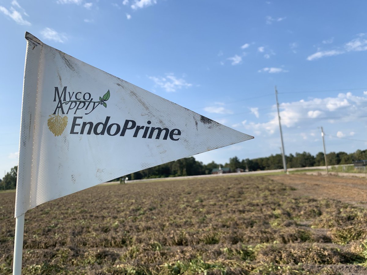 We want to thank <a href="/ValentBioSci/">Valent BioSciences</a> and the Grantham family for being great cooperators in our on-farm peanut mycorrhizal study. The official results can be found on the <a href="/UGAExtension/">UGA Extension</a> peanut website later this year. #CommitTo