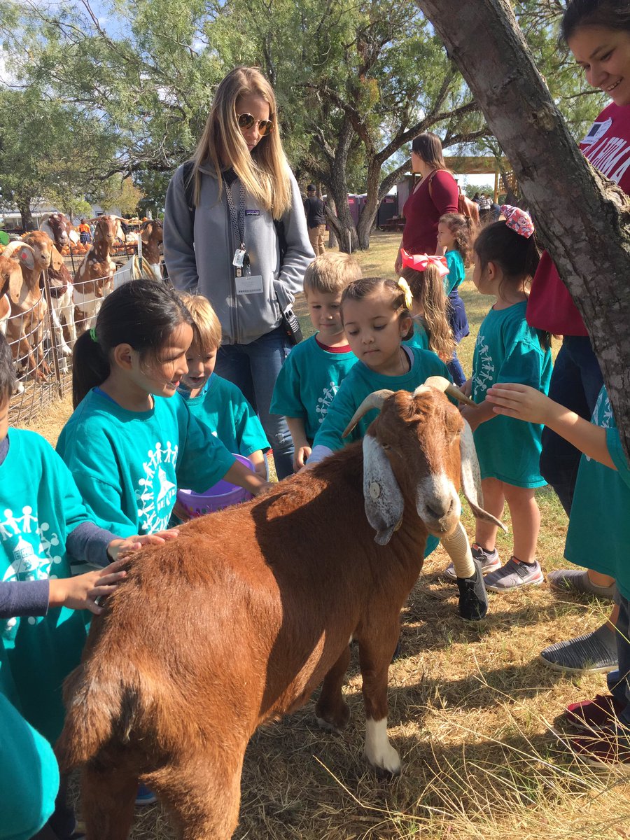 FPSBillieKids's tweet photo. Monday PK4 took their first field trip to Sweet Berry Farm! Fall weather, pumpkins, a hayride and more!! #FPSPride #FallFieldTrip π#PumpkinsAndMore #TeamOehler https://t.co/s4CoXlIqEr
