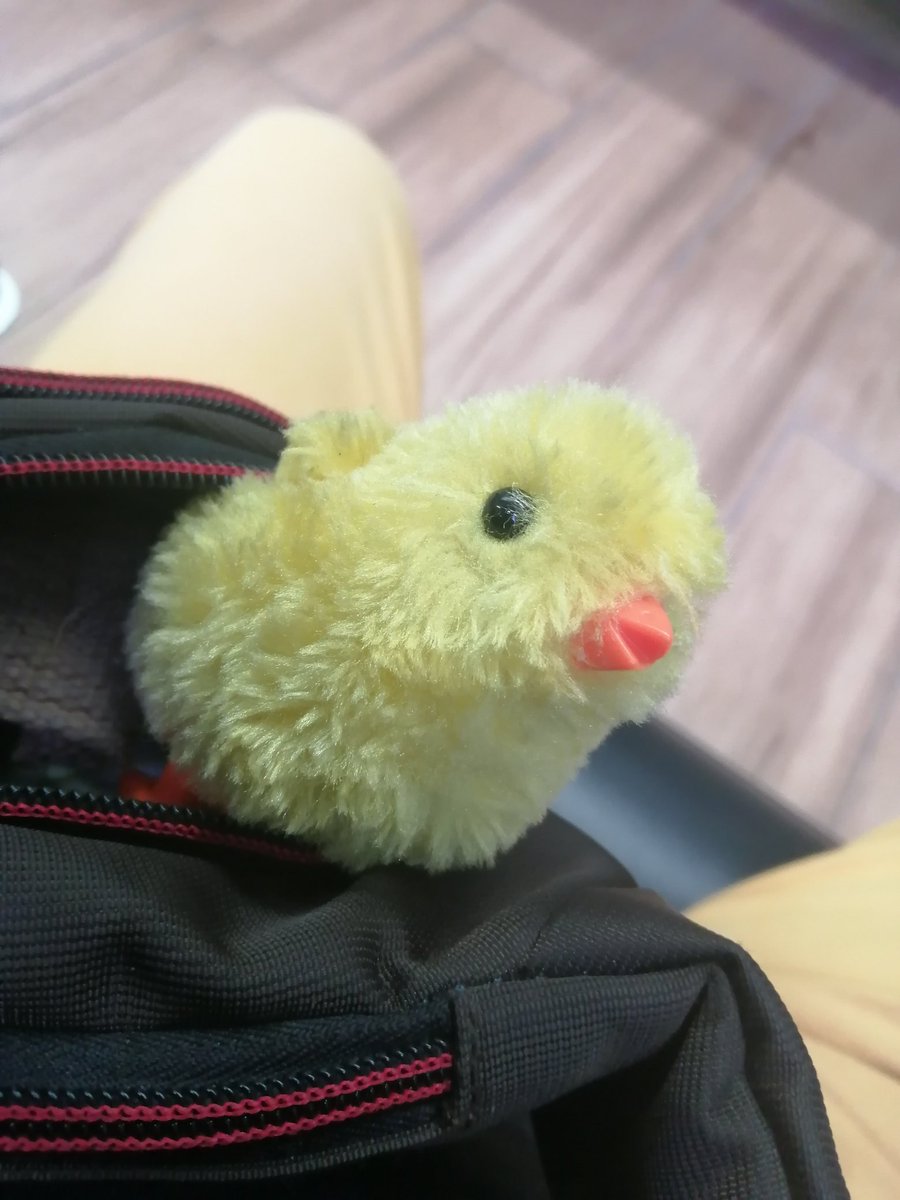 Chrisjav_9's tweet photo. Estoy viajando a Quito x trabajo y al despedirme de mi hija le dije: como quisiera llevarte en la maleta y zas! apareció mi pollito en mi maleta, por eso te amo x ser genial conmigo @nats_soul ❤️ #pollis https://t.co/T1QACYJkg6