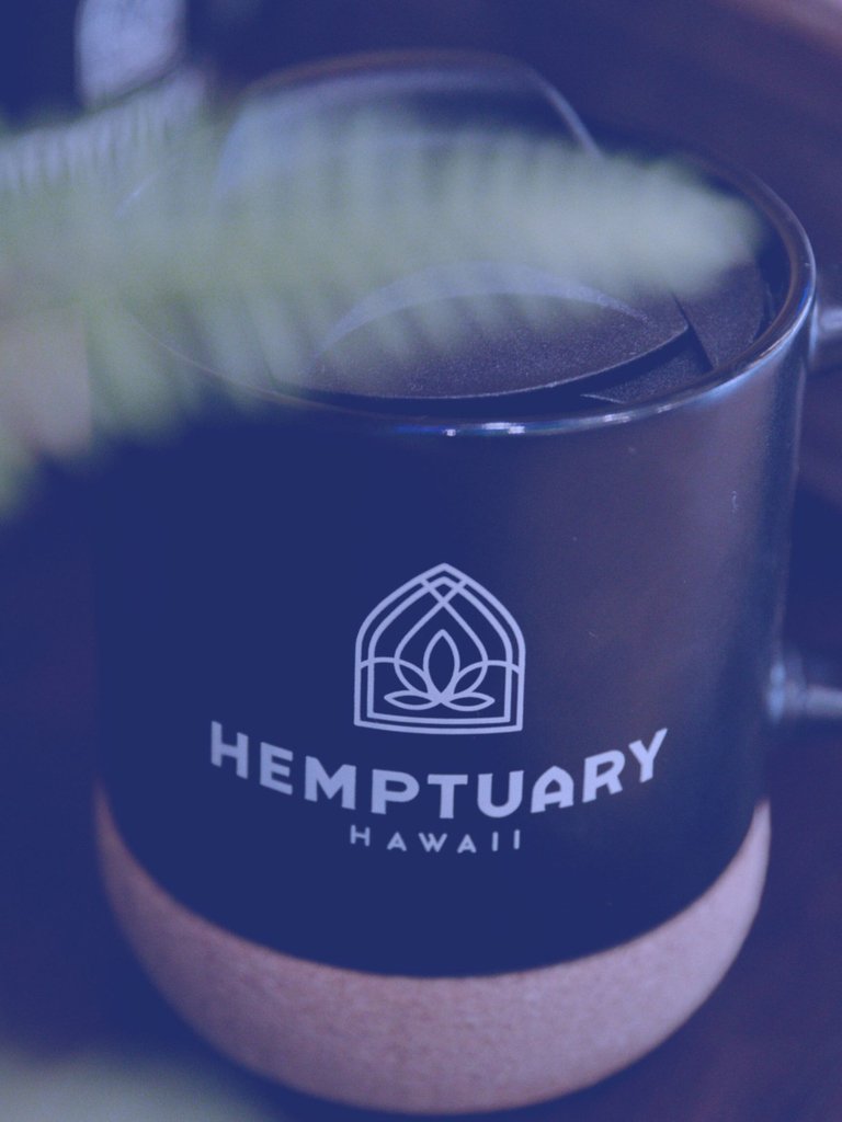 hemptuary's tweet image. Let's start something big by doing one thing small... No more plastic coffee cups! Our Hemptuary travel mug has a secure sip top and keep it in place cork bottom. 

#hemptuary #refreshuary #recylereuse #gretarocks #welovegreta #westandwithgreta #keephawaiiclean #noplastic