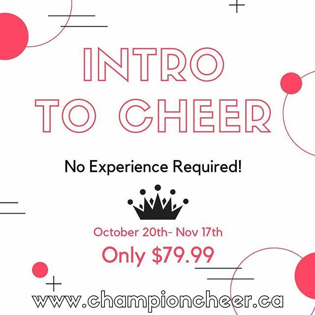 Champion Cheer tweet media