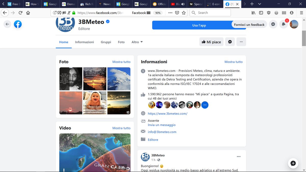 Lisa Guerrini tweet media
