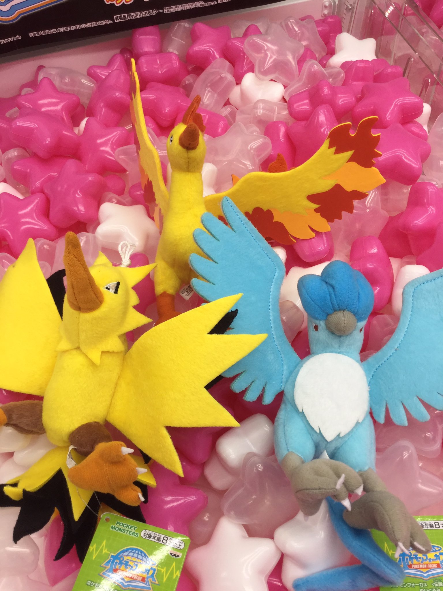 Amazon.co.jp: ポケモンフォーカス 伝説のポケモン でっかい