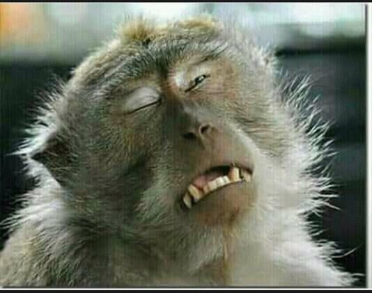GibsonMuffinRSA's tweet photo. @gerald_mashego @VusiThembekwayo @Sentletse Konje who are you?...Nooh let's leave it you're right chief. Happy?! https://t.co/ujtIgCF10M