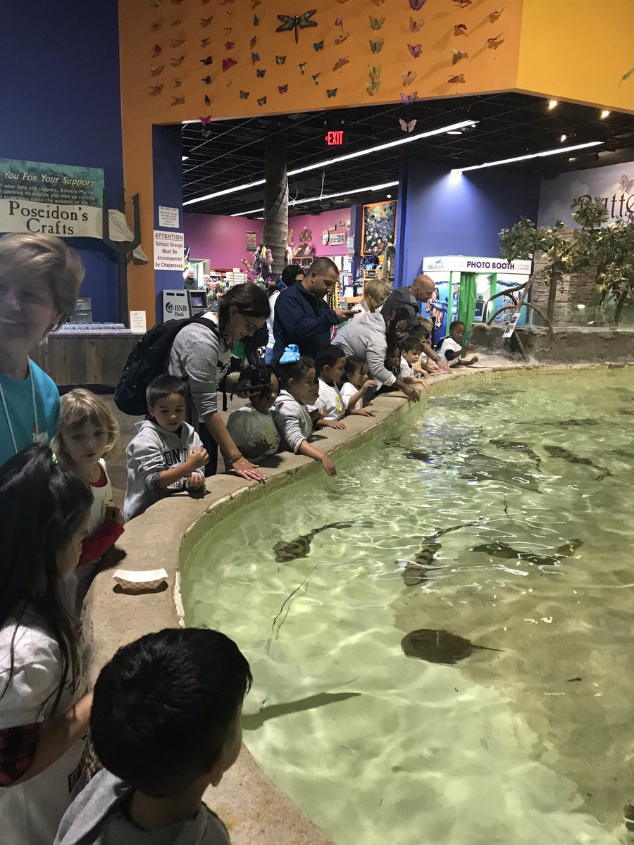 jbarca15's tweet photo. We had a great day at the aquarium! @5thAveSchool https://t.co/S2PqGudZi7