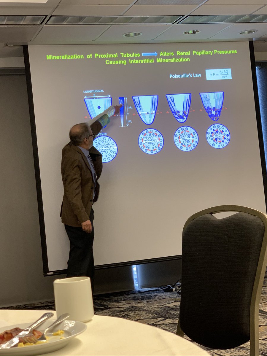 MGHUrology's tweet photo. Thank you to Dr. Marshall Stoller, 4th MGH Harvard Crabtree Lecturer on the origins of stone disease and future perspectives, and for spending time sharing your perspectives with our department. @urochiefmlb @AFeldmanMD @BEkidneystone @UrsinyMD https://t.co/drglGn80MU