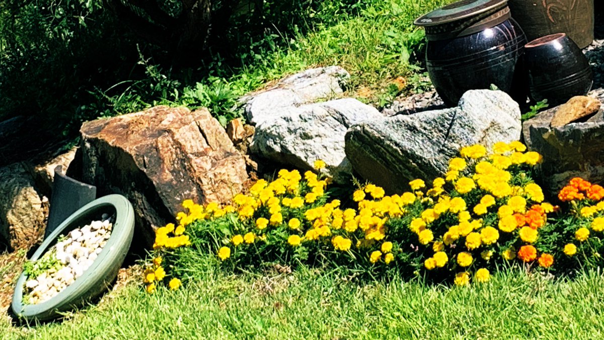 고즈넉 산사 안으로 들어서려니
머뭇거리다, 동자의 환한미소를
보는 순간 마음이 풀린다.
종교를 초월하고 편하게 들오라는
스님의 배려일까.

마음의 빗장을 열고 쓸어내어
평화롭고 맑아지고 싶네.

성당사.