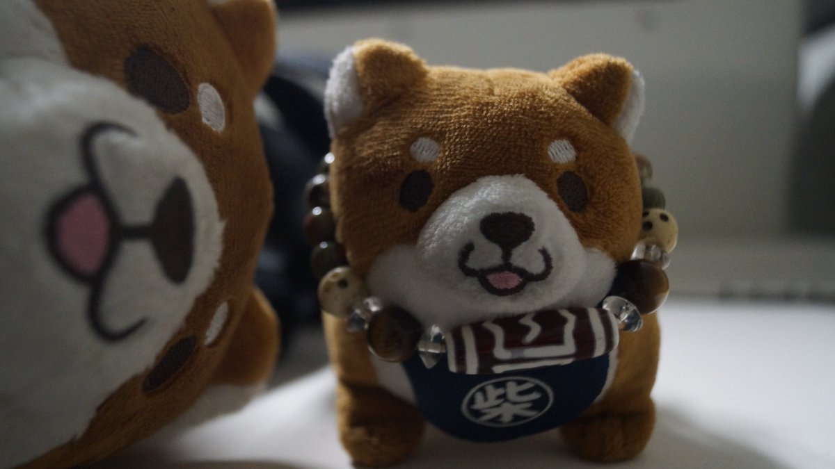 THE FOXTAIL Dancer (@fox_h_dancer) on Twitter photo 