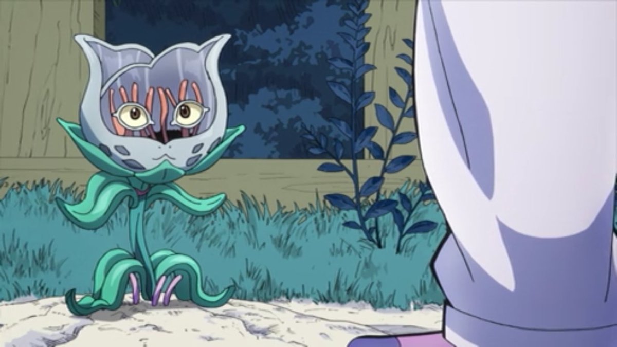 кот джоджо. кот цветок джоджо. стрэй кэтс джоджо. кот цветок джоджо. Jojo cat.