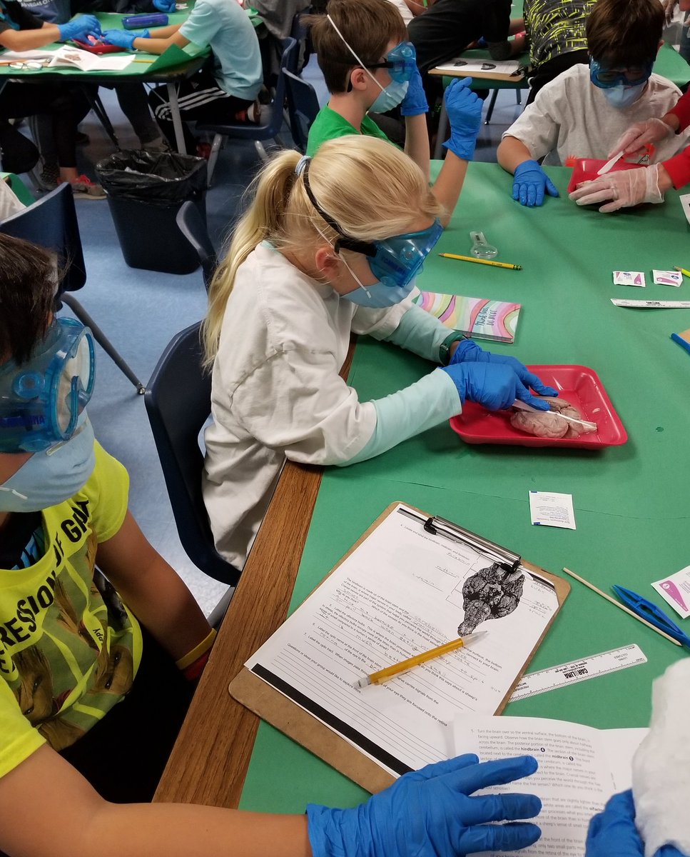 Teri Mann tweet media