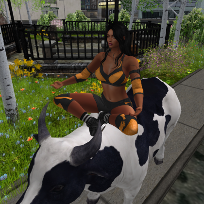 The Rani draws extra karma from one of the free-roaming cows of Empire City. The Cow tells The Rani victory will be hers, but show some mercy to her opponents @LyraPhoenixVWE and <a href="/CheerForBee/">Becky (IC)</a> today at #VWEOldSchool #RadianceTitle <a href="/vwewrestling/">VWE Wrestling</a>