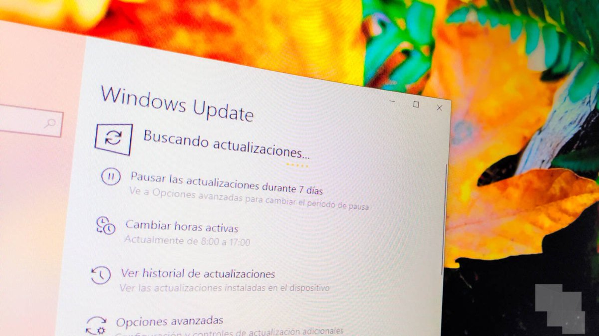 onewindows_es's tweet image. Windows 10 November 2019 Update, es la próxima actualización y ya tiene Build candidata - onewindows.es/2019/10/window… - #19H2 #Rtm #Windows10November2019Update