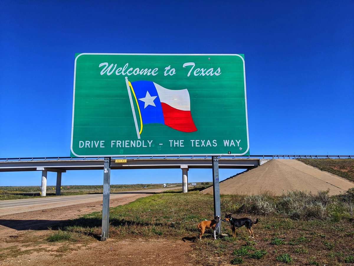 Trixie_Charlie's tweet photo. Helllllllo Texas! https://t.co/Dgy7g3rNWf