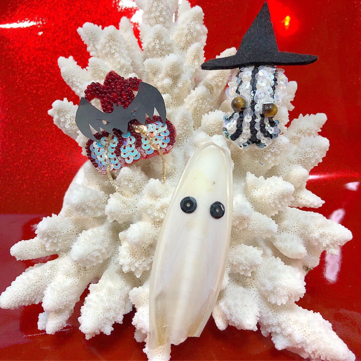gauchocho's tweet photo. 毎月10日は八戸市制定イカの日!
10/10は世界的イカの日!
今月はハロウィン。
コウモリ仮装のコウモリダコ、魔女帽子のタテジマミミイカダマシ、そしてイカのゴースト(イカの甲)です。
2枚目 出演は3匹でした!
3枚目 「ホンモノきた…」
#イカの日
#イカ好き
#SquidDay
#SquidAndCuttlefishDay https://t.co/EczrNLYR32