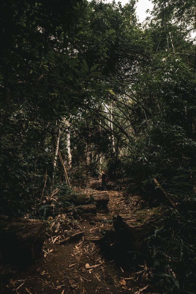 offtography's tweet image. ระหว่างทางเดินเขาหลวงสุโขทัย เจอน้องมอห้าคนนึง แบกกระเป๋าเดินมาคนเดียว น้องบอกว่าตอนแรกนัดเพื่อนไว้ว่าจะมากัน 10 คน พอเอาจริงเพื่อนเทหมด แต่ผมไม่อยากผิดสัญญากับตัวเองผมเลยมา

นับถือใจน้องมาก ไอดอลมาก น้องป๋อง แห่งทุ่งเสลี่ยม ยินดีที่ได้รู้จักนะครับ :)