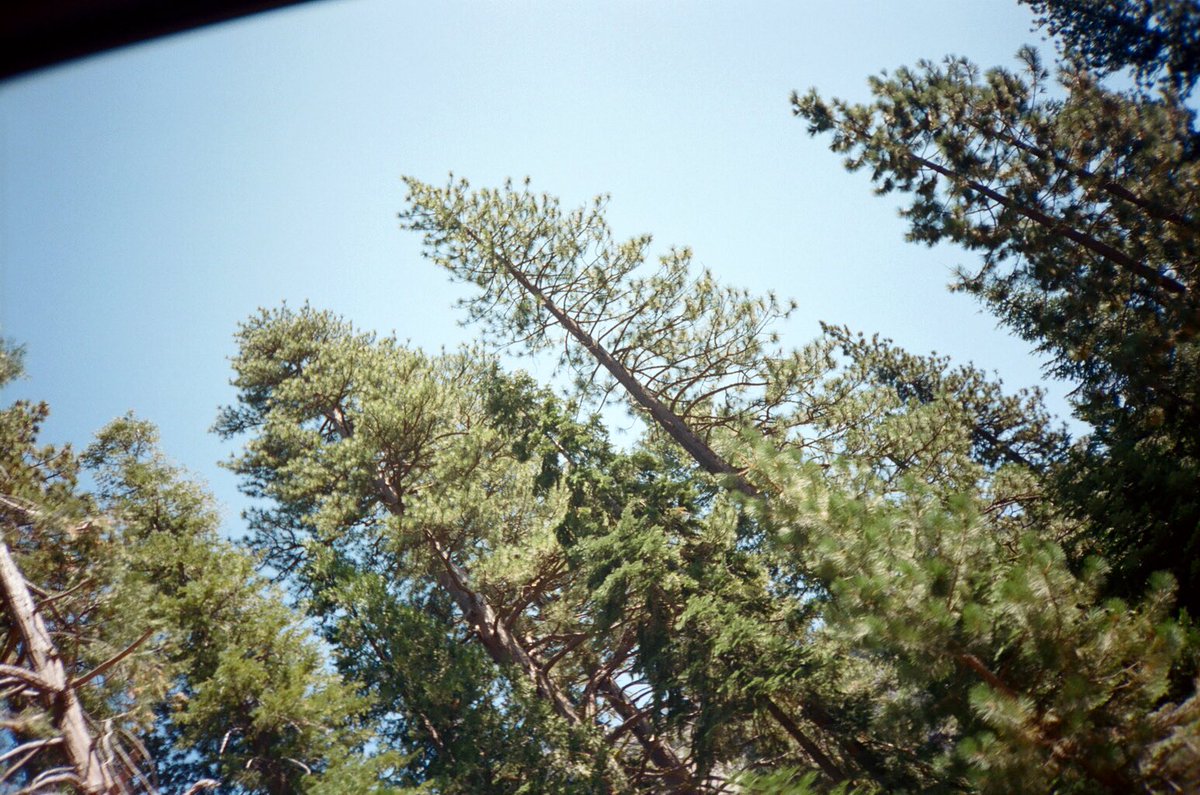 othizzle92's tweet photo. Road trippin #omgvisuals https://t.co/M2P5HPcB3U
