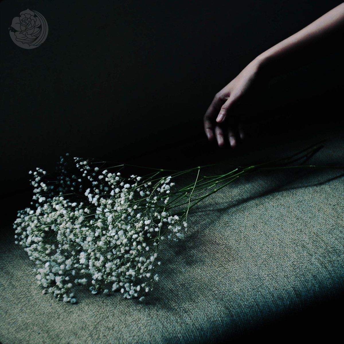 𝐒 𝐄 𝐋 𝐅 - 𝐓 𝐈 𝐓 𝐋 𝐄 𝐃 𝐄 𝐏
Available now worldwide on all music streaming platforms⁣⁣
⁣⁣
hyperurl.co/xah6wf

Proud to finally be able to present it in it’s entirety. ⁣⁣
⁣
Rebuild the bridges we’ve burnt.⁣⁣
⁣⁣
; We Are Tides