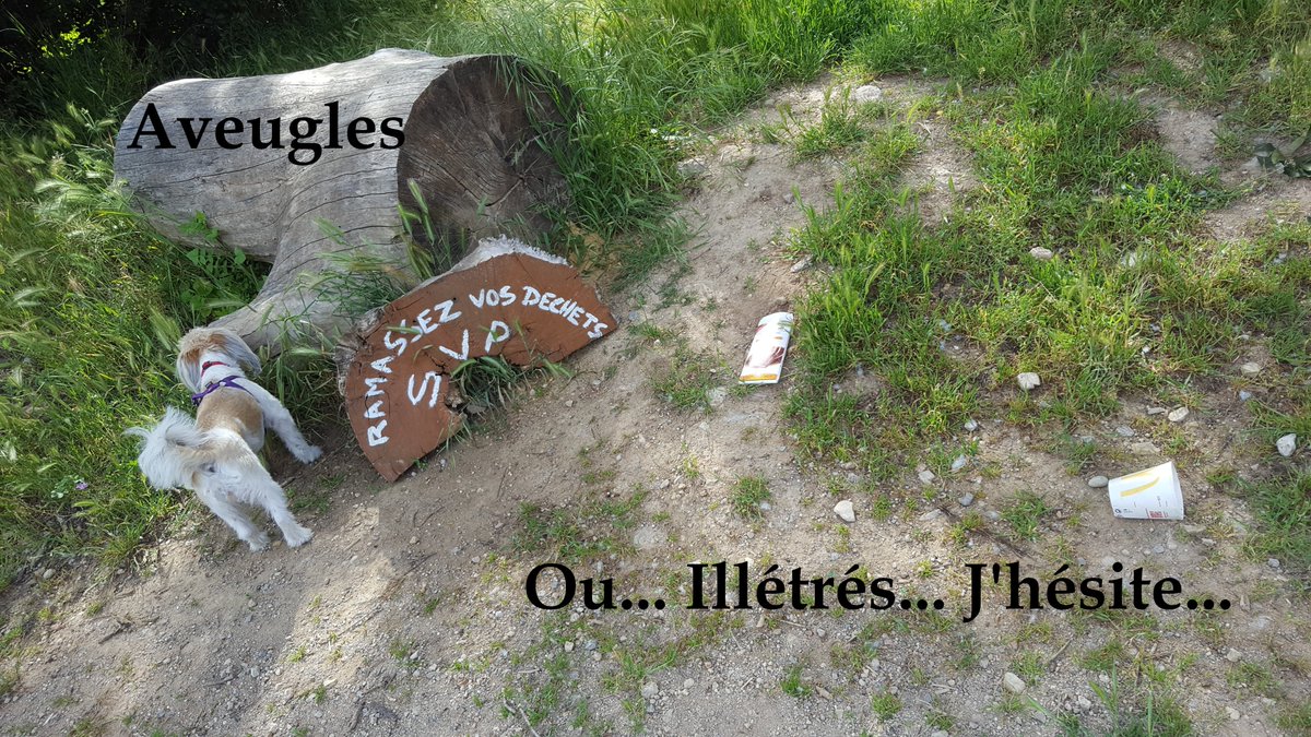 LienaDoris's tweet image. Nous sommes FortsMinables ! 
D'un coté, nous disons que les médicaments nous font de plus en plus de mal... 
Et, de l'autre, les substances qui pourraient réellement nous soigner, nous ne les enlevons de la vente... 
#LeMondeANotreImage...