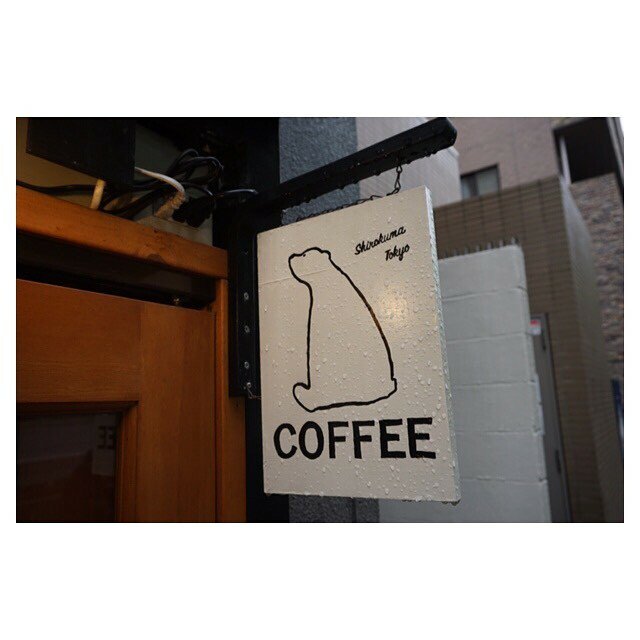 シロクマトーキョー Shirokumatokyo Twitter