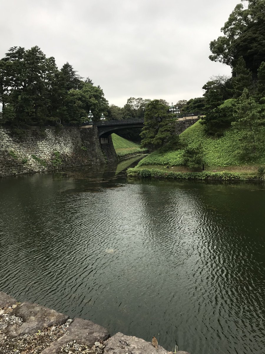 Visiting the Imperial Palace in Tokyo. Thrilled to represent ASH at  the JSH 81st Annual Congress.