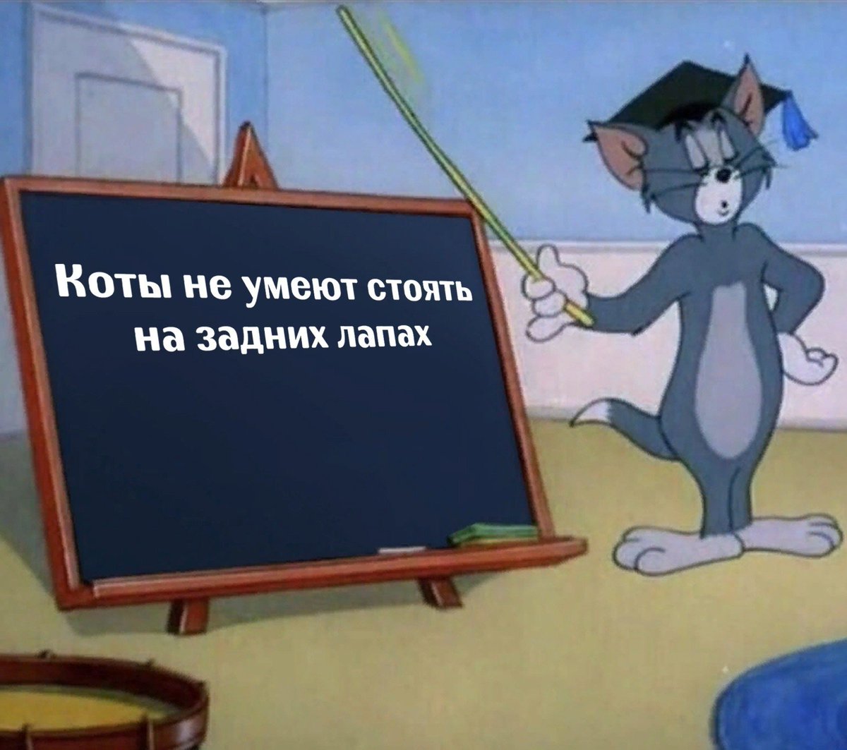 rainheifers's tweet photo. а я умею https://t.co/X8PLfv02Yh