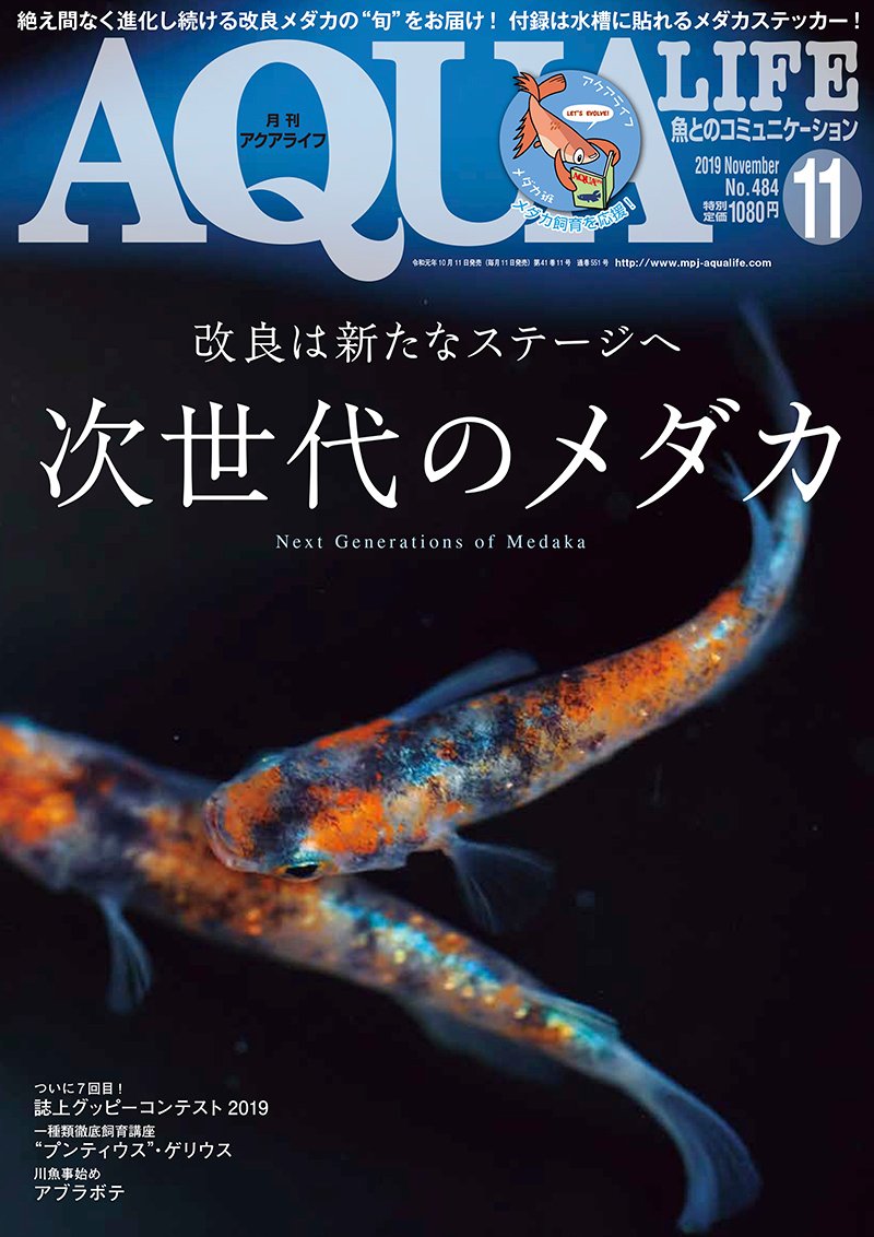 月刊アクアライフ編集部 Auf Twitter 本日発売 月刊アクアライフ11月号 本日発売です 特集 次世代のメダカ では 美麗な最新のメダカの姿をたっぷりお届け 秋冬の飼育の参考になる記事も 小特集は 誌上グッピーコンテスト 結果発表 人気連載の一種類 月刊アクアライフ編集部 Auf Twitter 本日発売 月刊アクアライフ11月号 本日発売です 特集 次世代のメダカ では 美麗な最新のメダカの姿をたっぷりお届け 秋冬の飼育の参考になる記事も 小特集は 誌上グッピーコンテスト 結果発表 人気連載の一種類