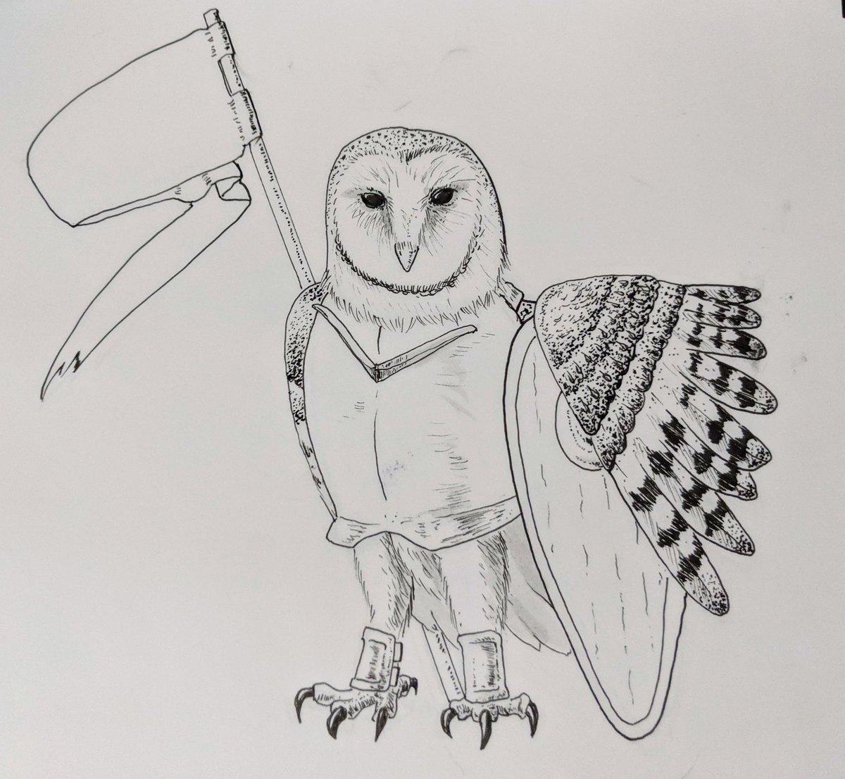 Eaguru On Twitter The Order Of The Barn Employs Knight Owls For