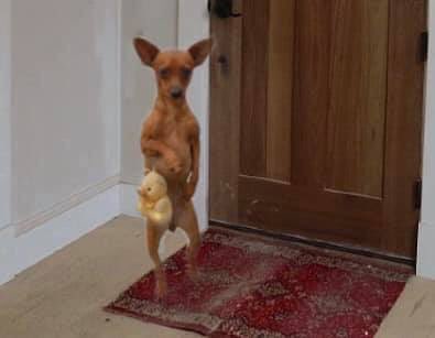 uhhhh      ʰᵉˡˡᵒ