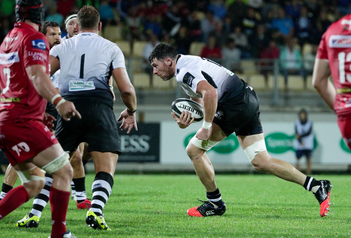 Zebre Parma 🦓 tweet media