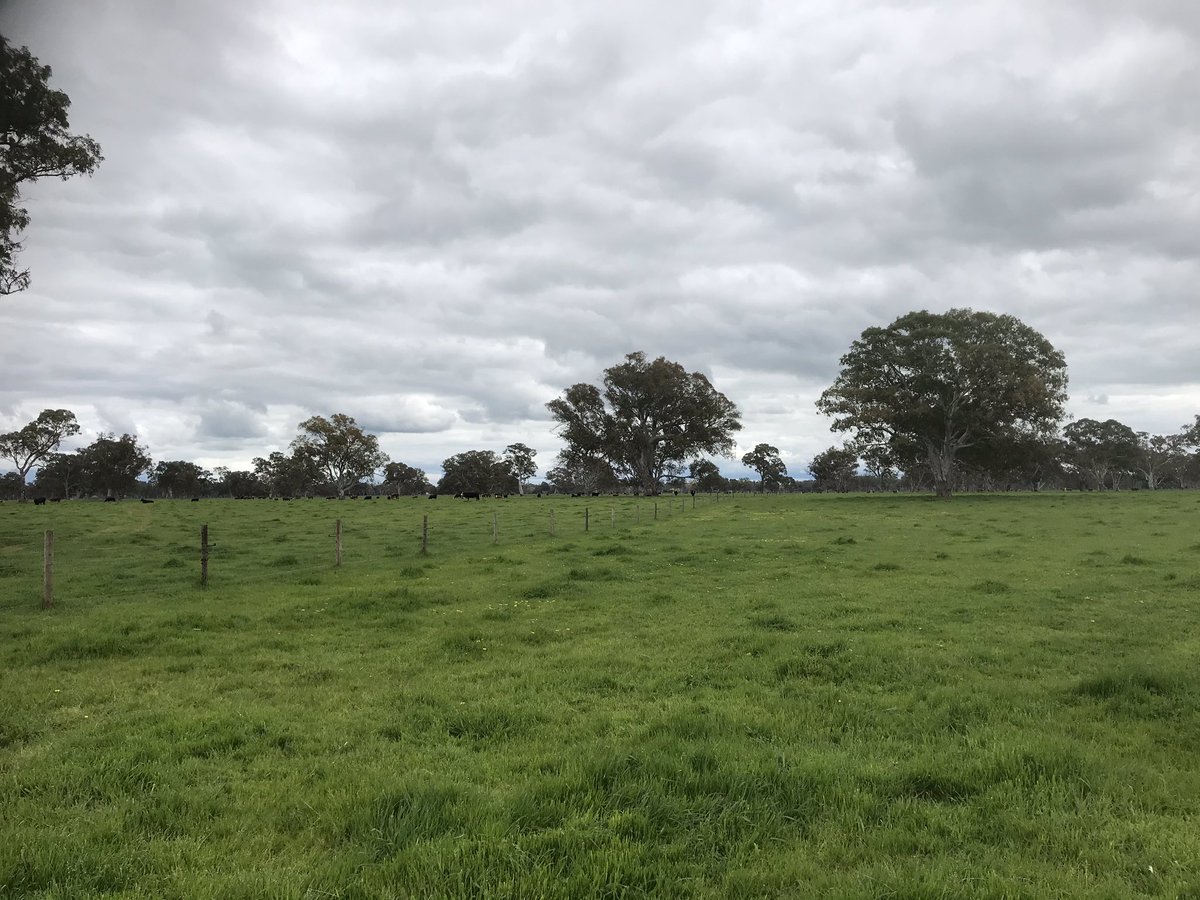An enjoyable couple of days visiting some of our customers in the South East of the state.  Some very good looking crops, pastures, cattle and vine starting to spring into life <a href="/Alan1Read/">Alan Read</a> <a href="/JakeDarcy11/">Jake Darcy</a>
