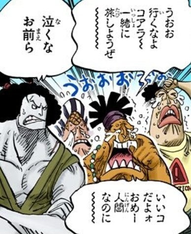 One Pieceが大好きな神木 スーパーカミキカンデ Twitterren はっちゃんとかマクロたちにも早くコアラと会ってほしい 絶対お互いに嬉しい 泣ける