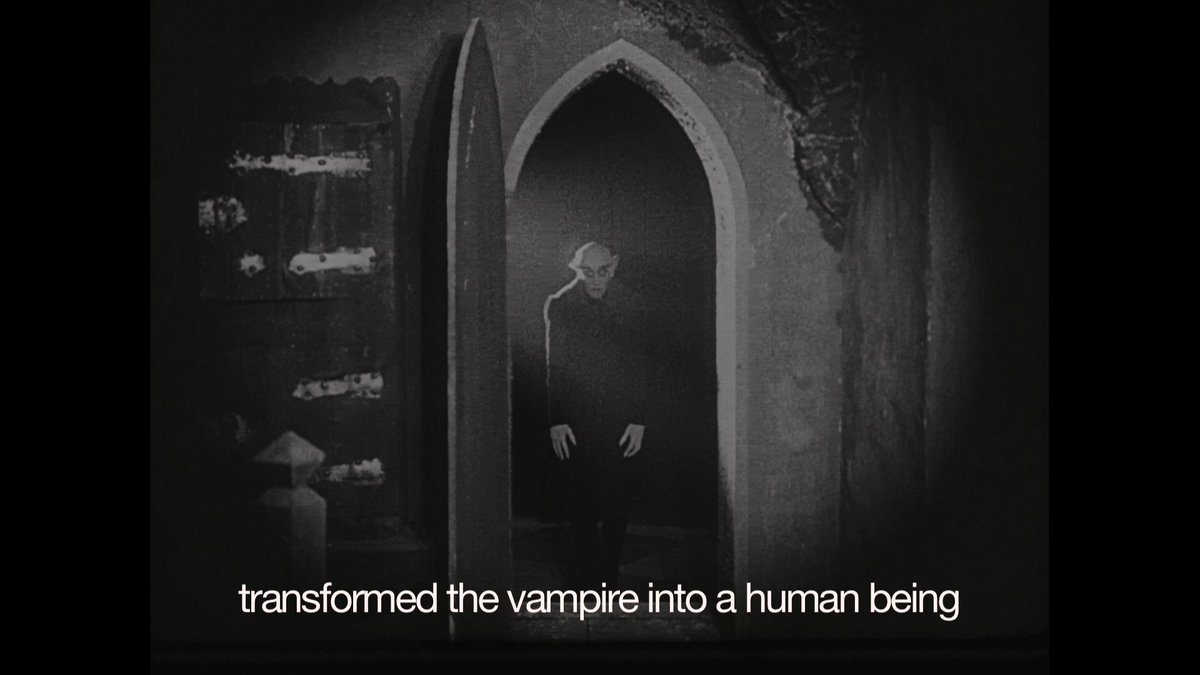 #Exposition 'Vampires, de #Dracula à Buffy' vient de débuter à la @cinemathequefr L'occasion de mettre en avant 'Le Vampire' de J. Painlevé (1945). #BelaLugosi n'a qu'à bien se tenir, face au Desmodus rotundus! #vampire #Nosferatu @lesdocscinema