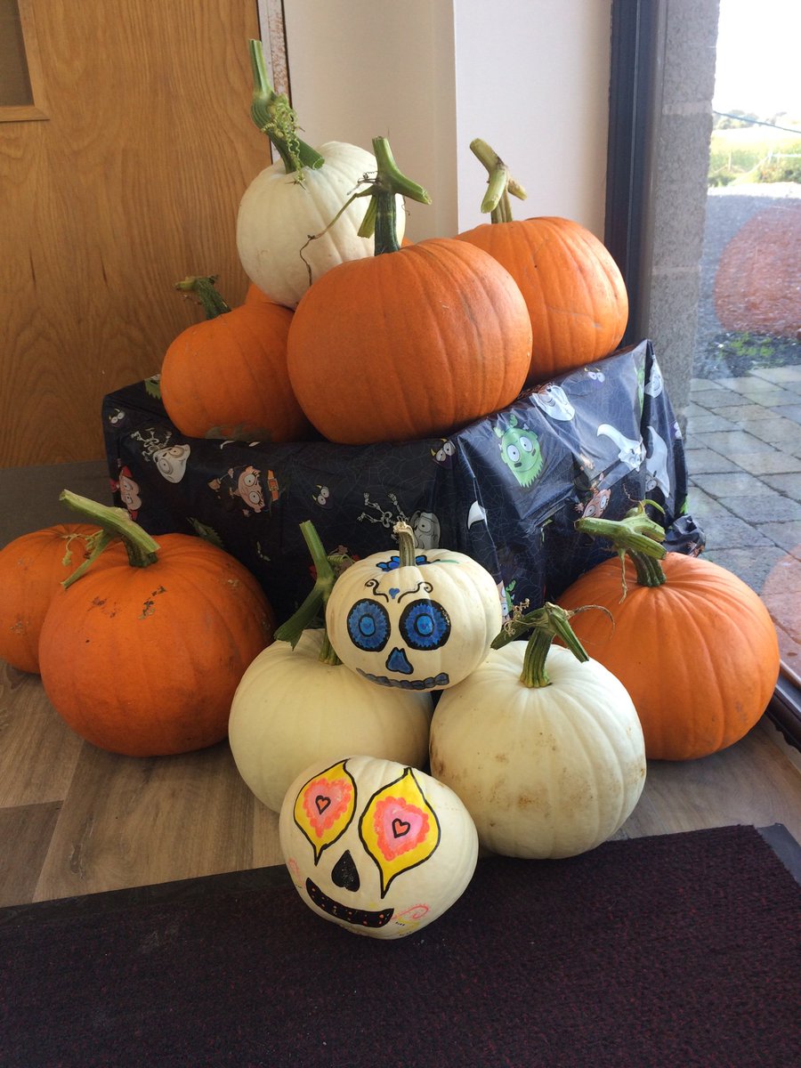 We’ve brought a few of our pumpkins up to the porch for sale if you’re needing one early or for soup! #pumpkin #laganvalefarm