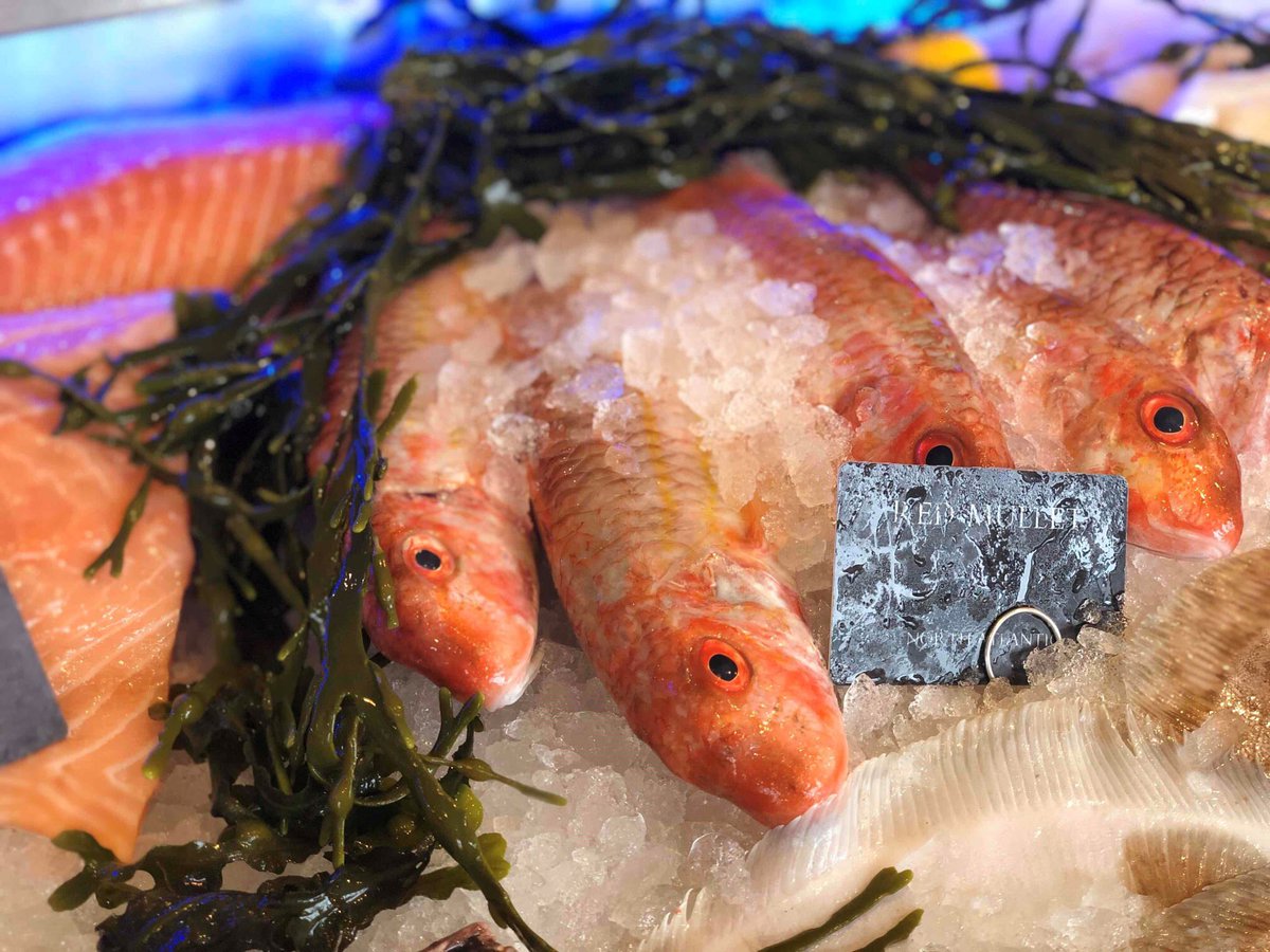 We've got some beautiful red mullet from Cadgwith on the counter today. It's <a href="/Jill_Stein/">Jill Stein OBE</a>’s favourite fish - simply cooked and served with a sauce vierge made with fresh tomatoes, garlic, fresh herbs, extra virgin olive oil, lemon juice, salt and pepper. Delish!