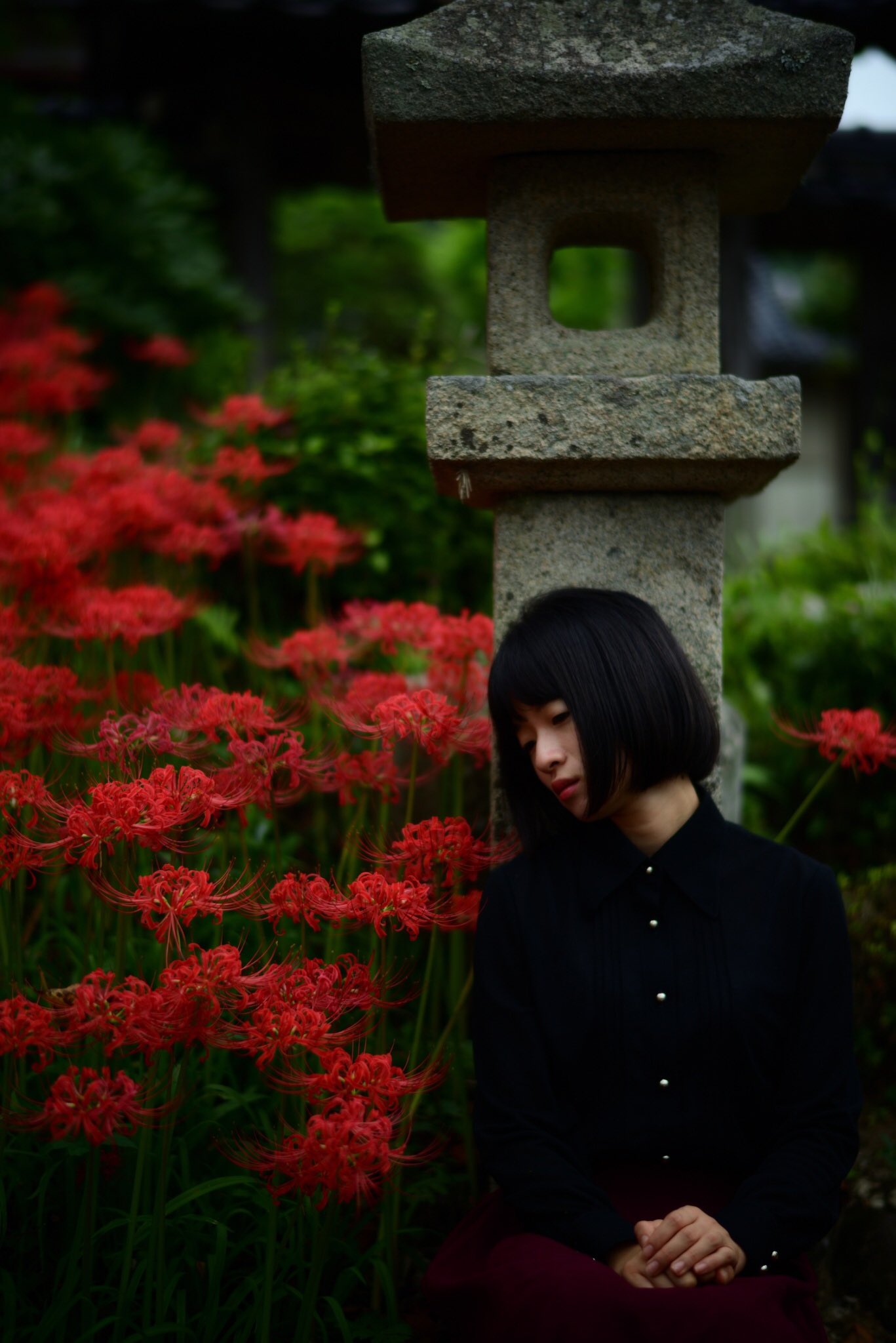 ももんが 彼岸花 セーラー服 Model 兎姫ちゃん 彼岸花 曼珠沙華 Redspiderlily 彼岸花ポートレート 彼岸花ポトレ ポートレート Portrait 制服ポトレ 制服ポートレート セーラー服ポトレ セーラー服 被写体募集 モデル募集 広島 岡山