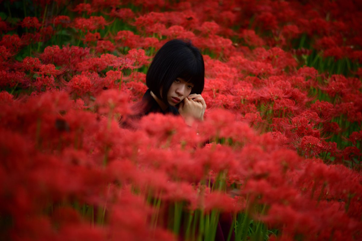ももんが No Twitter Red Black Model 兎姫ちゃん 彼岸花 曼珠沙華 Redspiderlily 彼岸花ポートレート ポートレート Portrait 病みポトレ 病みポートレート 赤 黒 Red Black 被写体募集 モデル募集 広島 岡山 T Co 52xddofqm4 ももんが No Twitter Red Black Model 兎姫ちゃん 彼岸花 曼珠沙華 Redspiderlily 彼岸花ポートレート ポートレート Portrait 病みポトレ 病みポートレート 赤 黒 Red Black 被写体募集 モデル募集 広島 岡山 T Co 52xddofqm4